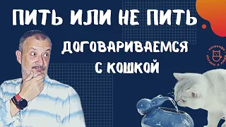 Пить или не пить, договариваемся с кошкой