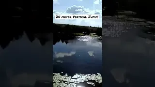 World Record Vertical Jump (25 Meters)