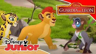 La Guardia del León: La isla de los dragones | Disney Junior Oficial