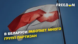 Визит Лукашенко в Китай, уничтожение флагмана ВКС РФ, «народное ополчение» в РБ  | ВЯЧОРКА - FREEДОМ