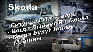 Skoda: Когда Будут Машины? Квоты? Блок? Сколько Ждать? (2022)