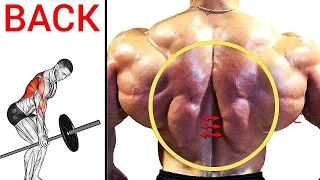 6 Best Exercise To  Back Workout Gym to Build Wider Lat and Bigger Lat (V-TAPER)