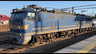 EF510-501けん引下り貨物列車発車（JR弘前駅）22.11.12