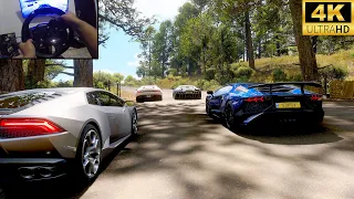 Found 4 Lambos: Epic Volcano Ascent | Lamborghini Aventador | Forza Horizon 5 | Steering Wheel