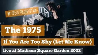 【和訳】If You Are Too Shy (Let Me Know) - The 1975