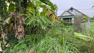 Motivation to clean Transform an overgrown abandoned house Merry Christmas