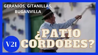 ¿PATIO CORDOBES? GERANIOS, GITANILLAS, BUGAMVILLA. La Casa De La Ladera ASMR