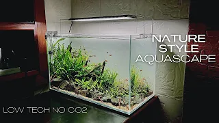 HOW TO MAKE A 2 FEET PLANTED AQUARIUM | STEP BY STEP SETUP | NO CO2 | AQUASCAPING TUTORIAL