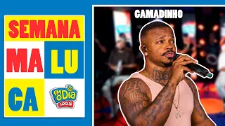 Gamadinho (Completo) #SEMANAMALUCA  @radiofmodia