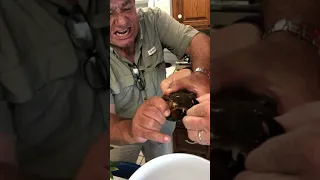 Crab grabs finger