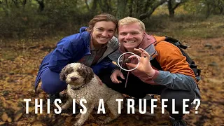 Most Expensive Food in the World⎜Authentic Truffle Hunting in Italy