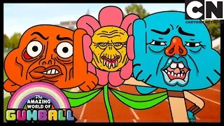 Gumball Türkçe | Taç yaprakları | Çizgi film | Cartoon Network Türkiye