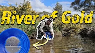 We Found Australia's River of Gold!