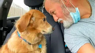 Laugh hard NOW with Funniest Moments Dog and their Human! - Cute Animal Show Love