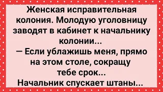 Уголовница На Столе Начальника Колонии! Сборник Свежих Анекдотов! Юмор!