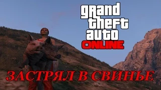 GTA Online - Застрял в свинье!