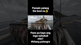 ito ang the best na pamain para sa malalaking isda