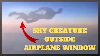 Weird humanoid sky creature caught flying outside of an airplane window