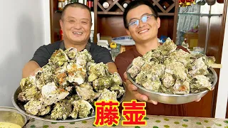 阿胖山趕海撬藤壺，父子倆合力撬100多斤，滿膏藤壺太鮮甜了