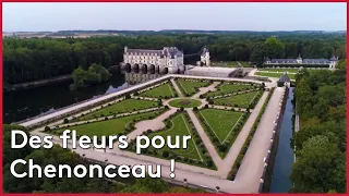 Chenonceau en fleurs