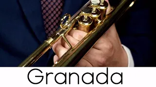 "Granada" (Play with Me n.81)  -  Andrea Giuffredi trumpet