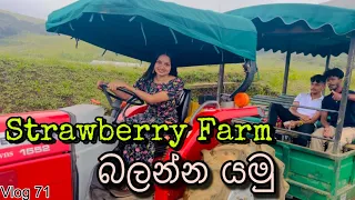 මේ හැමදේම රුපියල් 100ට | Just only Rs 100 | Strawberry farm visit | Nuwaraeliya| Traveling| Srilanka