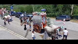 Larino: Festa di San Pardo 2024 Una parte della Processione 🙏🤗