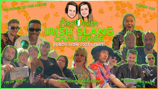 Éirevision Irish Slang Challenge - Eurovision 2023 Stars!