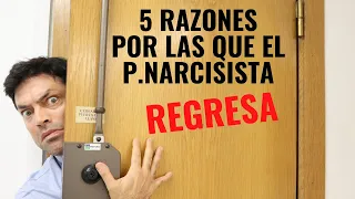 5 Razones Por Las Que El P Narcisista Regresa