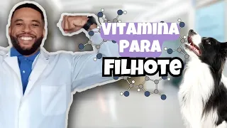 VITAMINA para cachorro FILHOTE engordar e crescer!