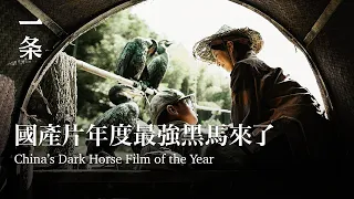 杭州又添一名猛將，0片酬拍出年度黑馬片！China’s Dark Horse Film of the Year