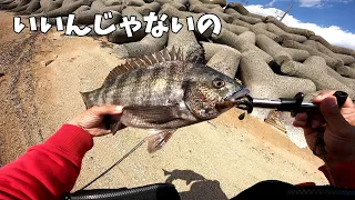 こんな状況の砂浜は釣れますね。