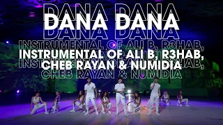 Now United - Dana Dana (Acapella Show + Instrumental of Ali B, R3HAB, Cheb Rayan & Numidia)