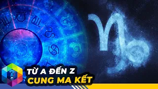 Giải Mã Ma Kết - Chú Dê Biển Chăm Chỉ Nhưng Khô Khan Nhất 12 Cung Hoàng Đạo [Top 1 Khám Phá]