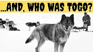 And, who was TOGO, the sled dog, in real life?