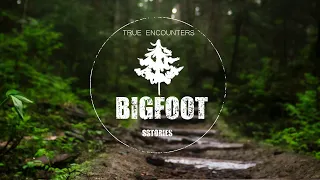 BIGFOOT Crashes Dinner BBQ | SASQUATCH ENCOUNTERS