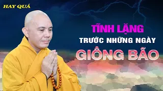 Tĩnh Lặng trước những GIÔNG BÃO cuộc đời - TT. Thích Đồng Thành (hay quá)