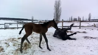 Первый раз на улице