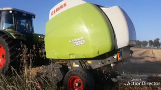 Prasowanie słomy 2019. Claas Variant w akacji.