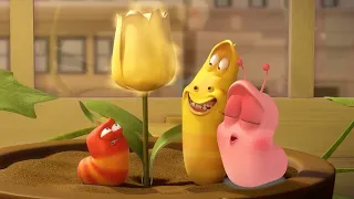 LARVA - A LARVA LOVE STORY | Cartoons For Children | Larva Cartoon | LARVA Official