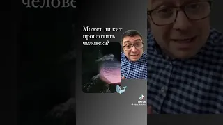 Может ли КИТ проглотить человека?