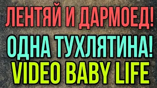 ЛЕНТЯЙ И ДАРМОЕД. ОДНА ТУХЛЯТИНА. VIDEO BABY.