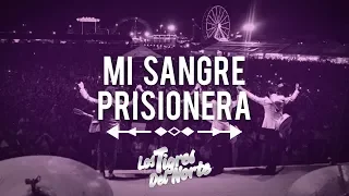 Los Tigres Del Norte, MI SANGRE PRISIONERA