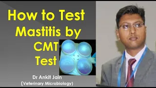 How to Test Mastitis by CMT Test