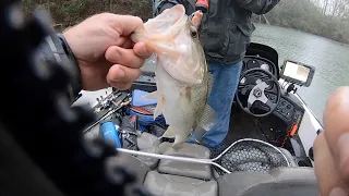 What NOT to do during the Bass/Herring Spawn on Hartwell (Tourney #3)