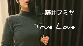 True Love - 藤井フミヤ / フジテレビ系ドラマ『あすなろ白書』主題歌 Covered by七海