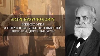 Физиология. И.П. Павлов и учение о высшей нервной деятельности.