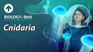 Cnidaria | Hindi | Diversity In Living Organisms | Biology| Class 9