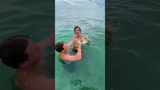 Another Turtle Rescue