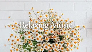 [Piano] Comfortable piano music to make your day  l GRASS COTTON+
